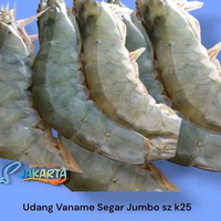 Udang Vaname Segar Jumbo - Vaname Fresh k25
