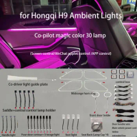 For Hongqi H9 The original car screen controls 256 colors Ambient Light Ambient Light LED Atmosphere Light