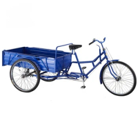3 wheel adult manpower bike Bicycle tricycle with back seatcustom