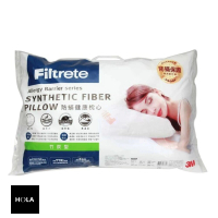 【HOLA】3M Filtrete 淨呼吸健康防蟎枕心－竹炭型