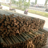 Bambu Steger Diameter 8/9 cm Cocok untuk Keperluan Konstruksi