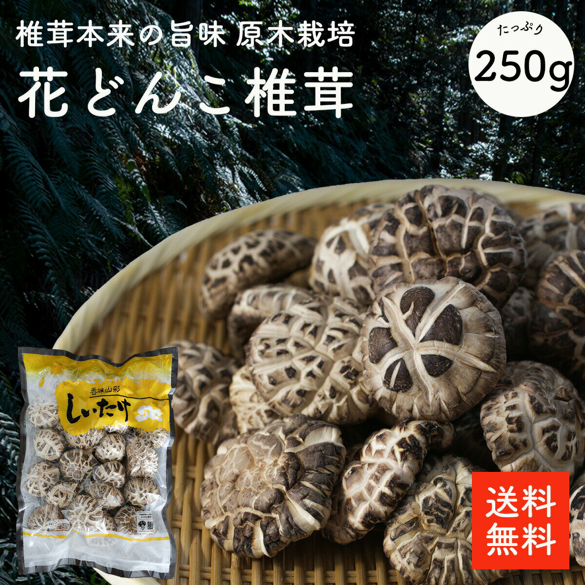 2023年12月|　椎茸香菇日本的價格推薦-　比價比個夠BigGo