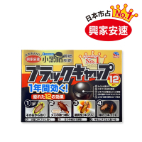 日本興家安速 蟑螂餌劑2gx12入 (小黑帽)