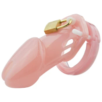 Male Chastity Device With 5 Size Penis Ring,Cock Cages,Chastity Lock/Belt,Cock Ring,Adult Game,CB6000