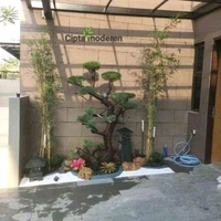 dekorasi taman kering bonsai Cemara udang Zen garden modern