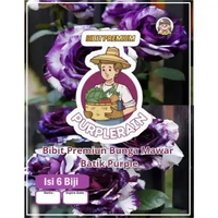 Bibit Unggul Bunga Mawar Batik Purple |Biji Benih Bunga Mawar Batik Ungu