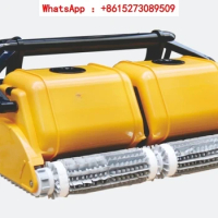 Swimming Pool Fully Automatic Dolphin Vacuum Cleaner Turtle Vacuum Cleaner Underwater Robot Imported 3002 Wall Climbing 2x2
