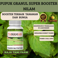 Pupuk Super Booster Granul Buat Tanaman Nilam Mempercepat Pembuahan Panen Melimpah Pupuk Penyubur da