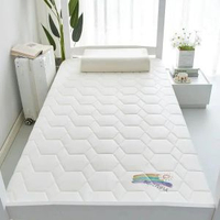 加厚床墊尺寸70x170家用床褥0.9米80x180x60x160x110x190x140大豆款-抗菌床墊-菱形白（舒適款）100*180cm