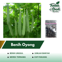 Benih Bibit Gambas Oyong Ceme Kemasan Repack - Benih Sayuran