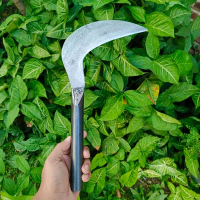 Arit rumput sabit bahan baja slendang alat pangkas gagang besi kuat