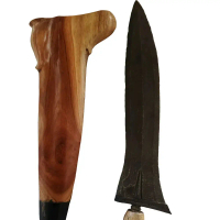 Jalak Budho (koleksi pribadi)