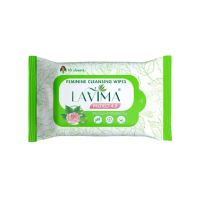 Khăn Ướt Vệ Sinh Lavima  Protect 4.0 Gói 10 TỜ NỮ