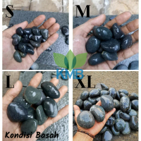 KMB BATU KORAL HITAM BENGKULU 12 KG Berat 1 Karung 11 Kg Ukuran S M L XL Kondisi Basah Batu Alam Asl