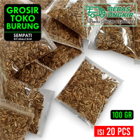 SEMPATI GROSIR Biji Kuaci Kwaci 100 gr Pakan Lovebird Hamster 20 Pcs