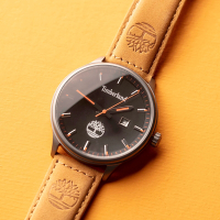 Timberland 天柏嵐 都會時尚大三針手錶 520送禮推薦-45mm TDWGB2102201