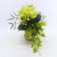 【HUGO DECO 榆果傢飾】深綠蝴蝶蘭皮革盆香氛花禮(擬真花/花禮/永不凋零/佈置)