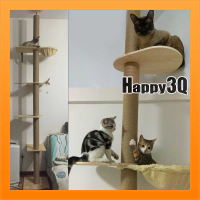 頂天立地貓跳檯 可訂製 四層貓跳檯 松木跳板 麻繩中柱 貓架 貓跳板 寵物用品 寵物玩具【AAA1780】