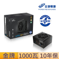 FSP 全漢 VITA GM 1000W 80 PLUS 金牌 電源供應器