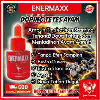 Doping tetes ayam aduan berkualitas tahan pukul agresif stamina tenaga maksimal ENERMAXX
