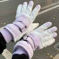 手套女冬季加絨加厚保暖防寒防風防水可觸屏摩托車騎行滑雪手套