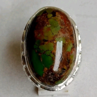 Pirus Persi Jumbo  Top Quality