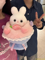 可愛公主兔子變身花束玩偶毛絨玩具公仔七夕禮物送女友女生布娃娃