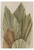artifati artifati Dried Palm Leaves No.2 Canvas Print Wall Art Photography Nature Botanical Flower Malaysia (0.5cm margin)