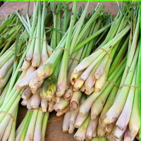Sereh Segar Lokal Berat 1 kg