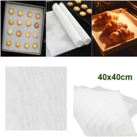 1/2Pcs Square Mesh Dehydrator Tray Steamer Mat Silicone Sheet Steamer Pad Non-stick Food Fruit Dehydrator Mats for Fruit Dryer