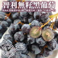 【天天果園】智利空運黑無籽葡萄8盒(每盒約500g)