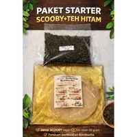 Teh Kombucha 250ml Tea Fermentasi Paket Scoby Dan Starter Minuman Probiotik Alami Scooby Starter Teh