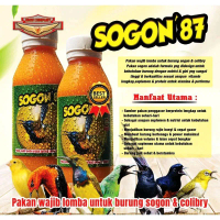 Nektar Sogon 87 Pakan Burung Sogon Colibry sebagai sumber penggacor berprotein lengkap
