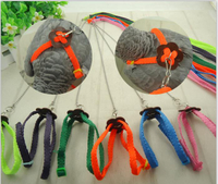 恒紫 鳥 鸚鵡牽引背帶 外出繩 小寵牽引繩 灰鸚鵡牽引繩 飛行繩