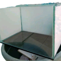 Mainan Limbata Rim Putih 5-6cm