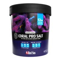 【RED SEA 紅海】7KG 桶裝珊瑚成長鹽 海鹽 海水素 軟體鹽/針對軟珊瑚 硬骨珊瑚 海水魚(可泡製210L水量)
