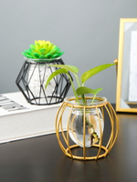 輕奢玻璃水培花瓶小擺件現代簡約創意家居客廳臥室桌面裝飾品