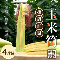 【家購網嚴選】帶殼紅鬚玉米筍4斤-2盒