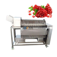 Commercial Pomegranate Peeling Machine Pomegranate Seed Aril Separator Skin Remover Peeler Juice extracting Machine