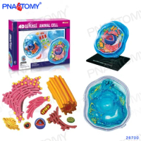4D MASTER Animal Cell Model Biological Anatomy DIY Gift Children Toy Zoo Decoration Museum Used Tool Educational Model