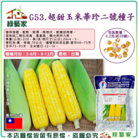 【綠藝家】G53.超甜玉米華珍二號種子4.2克(約30顆)產量高。糖分保持力長。植株強健，耐熱、耐濕