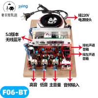 【奢菲雅】台灣公司/功放機/110V擴大機/220V大功率DIY改裝USB藍牙HIFI級無損發燒級專業功放板模塊套件