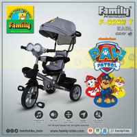 FAMILY F-329HT Karl Sepeda Anak Roda Tiga Tricycle Stroller
