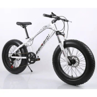 New Arrivals High Quality Professional Custom Sports 20 Inch 7 21 24 Speed Complete Sepeda Fatbike