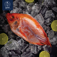 Ikan Nila Merah | Red Tilapia Fish