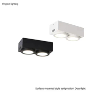 Square double head surface mounted downlight ceiling hole square grid rectangular 2 * 7W bean gall lamp