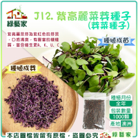 【綠藝家】J12.紫高麗菜芽種子(芽菜種子)1000顆