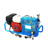 pcp compressor pcp 4500psi 300bar 300bar gasoline driven air compressor pcp pump