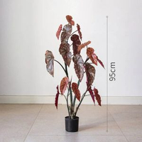 掬涵模擬鱒魚秋海棠粉旗魚海威進口網紅綠植盆栽室內歐式植物花卉