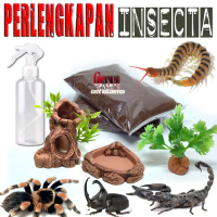 PAKET PERLENGKAPAN AKSESORIS KEBUTUHAN KANDANG INSECTA TARANTULA